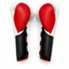 Hazerein Premium Horsehair Boxing Gloves