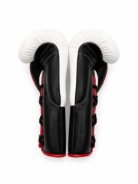 WhatsApp Image 2026-08-28 at 5.02.52 AM Hazerein premium horsehair boxing gloves