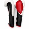 Hazerein Premium Horsehair Boxing Gloves