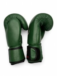 WhatsApp Image 2026-08-28 at 6.20.44 AM (3) Hazerein green and black pro training boxing gloves