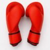 Performance Boxing Gloves Red