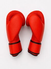 Performance Boxing Gloves Red