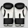 Performance boxing gloves for kids product image