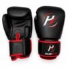 Performance Boxing Gloves Black