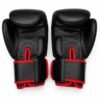 Performance Boxing Gloves Black